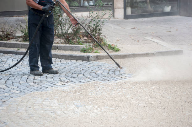 Best Oil Spill Cleanup  in San Antonio, FL
